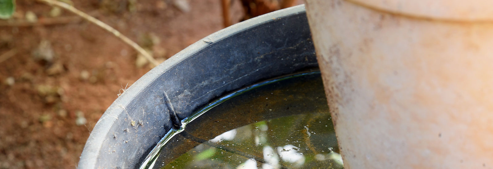 Abandoned plastic bowl in a vase with stagnant water inside