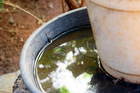 Abandoned plastic bowl in a vase with stagnant water inside